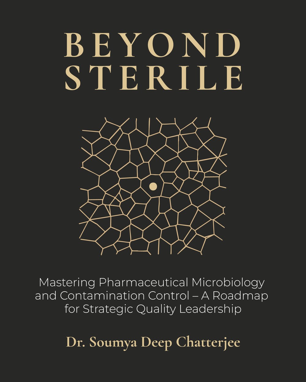 Beyond Sterile book cover
